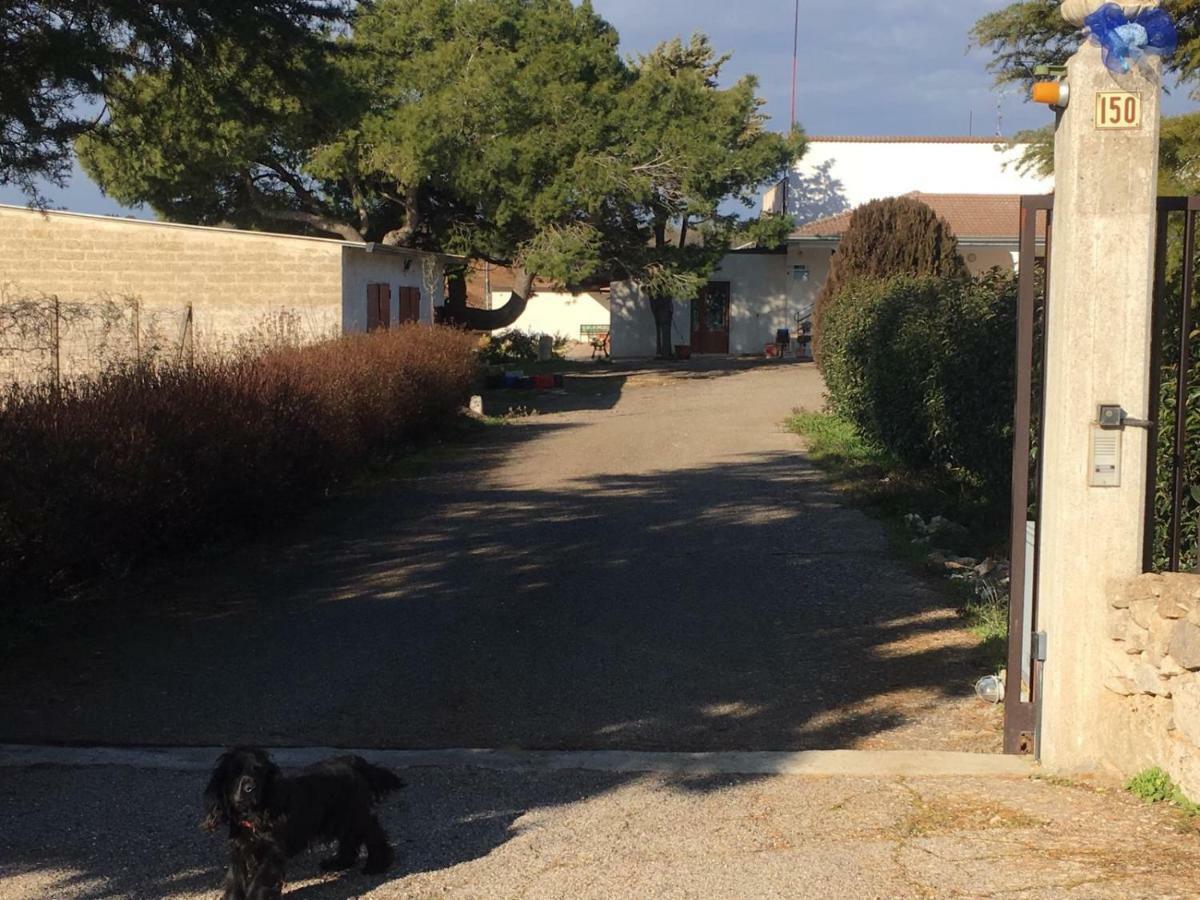 B&B Nuzzi Cassano delle Murge Eksteriør billede
